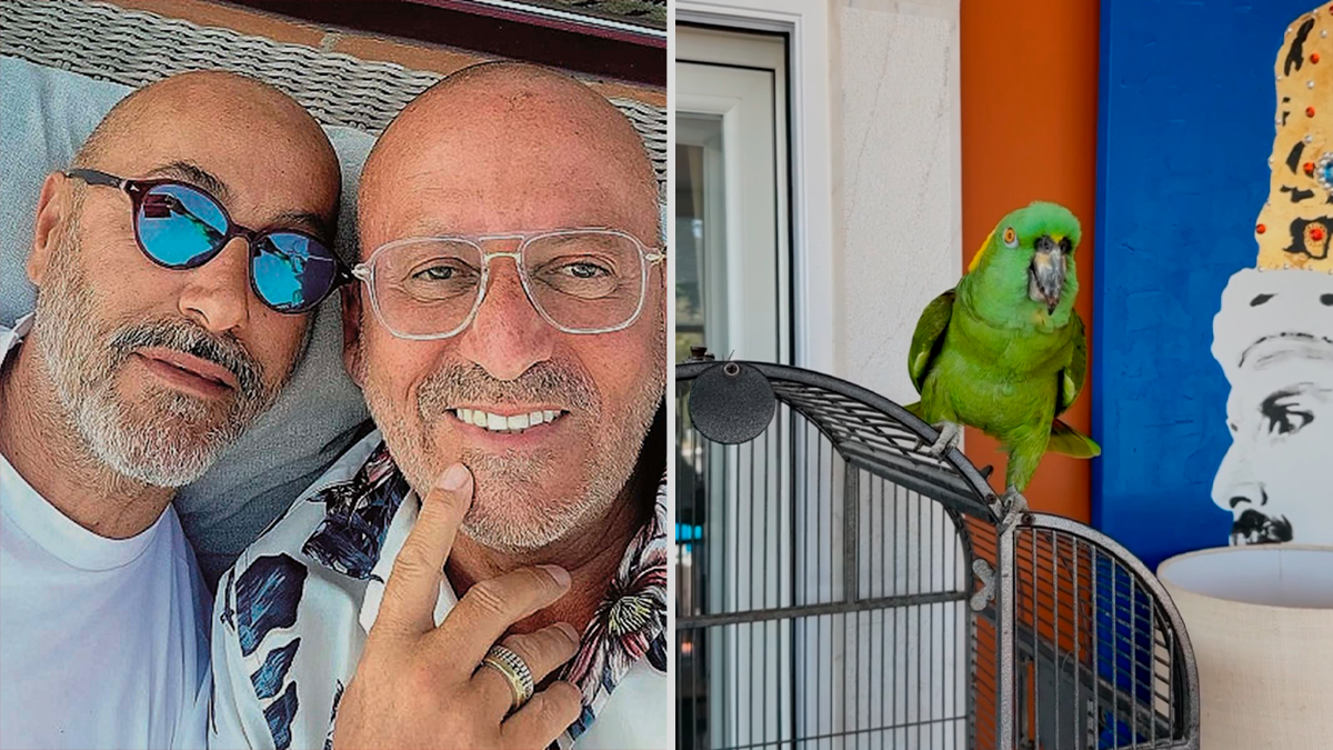 Rui Oliveira &#8220;encanta&#8221; fãs em conversa com papagaio: &#8220;Seu doidão, não sejas malandro&#8230;&#8221;