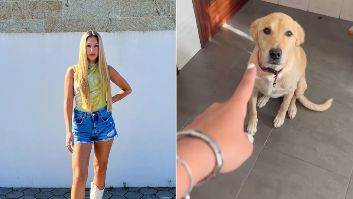 Bárbara Parada apanha “asneira” da cadela: “Que ar de culpada…”