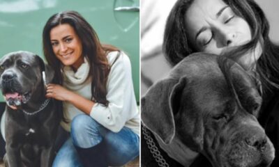 Andreia Dinis chora a morte do cão: &#8220;Estamos de coração partido. Foram quase 10 anos de muito amor&#8221;