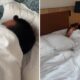 Após noite de festa, Cristina Ferreira mostra despertar animado em hotel