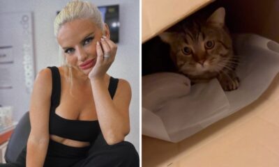 Filipa Torrinha Nunes reage a crítica: &#8220;Ninguém trata um gato por &#8220;coisa boa da mamã&#8221;&#8230;&#8221;