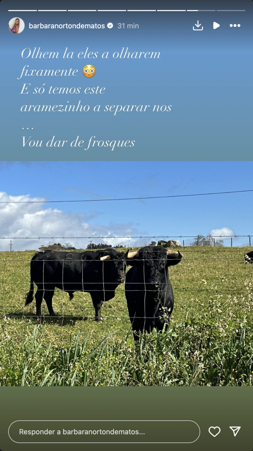 Bárbara Norton de Matos mostra-se na herdade de João Moura Caetano: &#8220;E se aparecer um touro?&#8221;