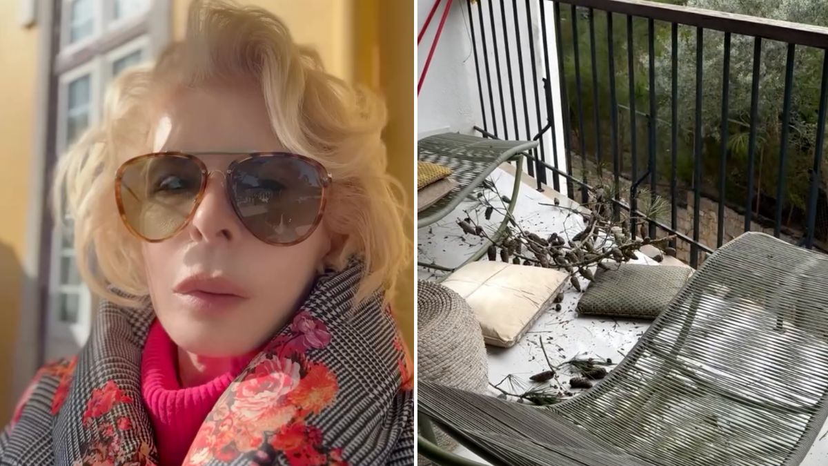 “Acordei com árvores no meu terraço”. Lili Caneças mostra casa após tempestade Martinho