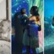 No oceanário, Mafalda Castro partilha registos com o filho: “Melhor plano…”